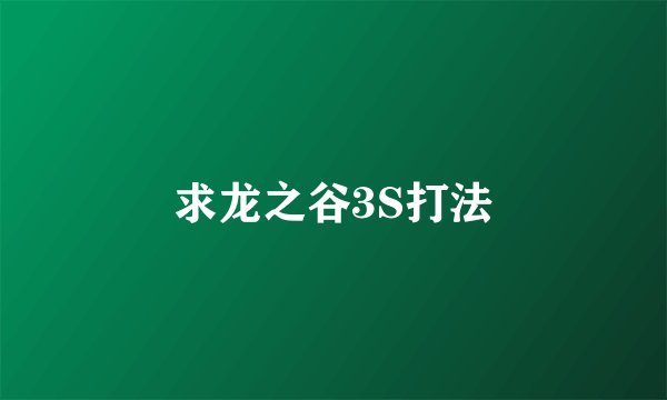求龙之谷3S打法