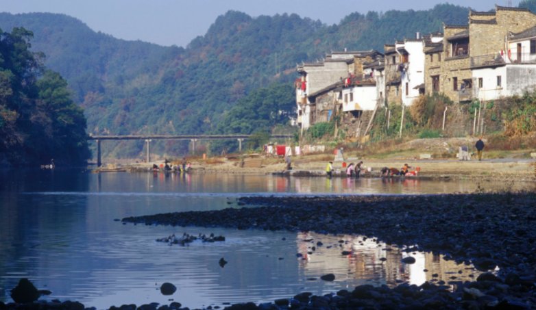 人到中年，为爱情留下三滴泪，是什么意思？