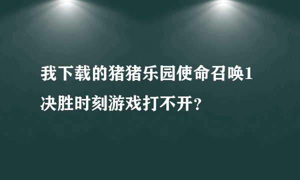 我下载的猪猪乐园使命召唤1决胜时刻游戏打不开？