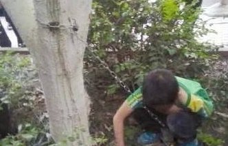 云南一男孩被铁链套脖锁树旁，被锁男孩的家世有多凄惨？