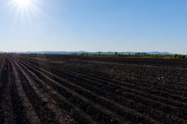 被喻为“耕地中的大熊猫”指的是()