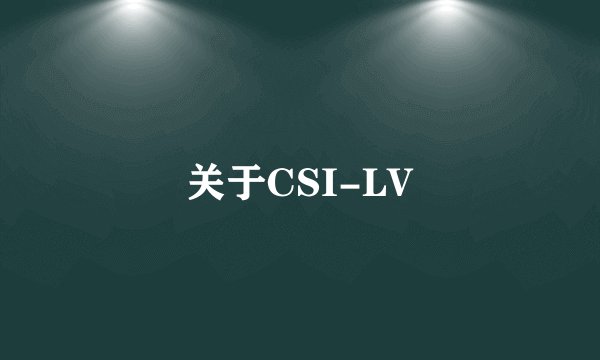 关于CSI-LV
