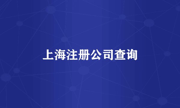 上海注册公司查询