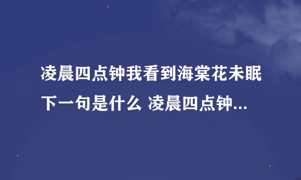 凌晨四点钟我看到海棠花未眠下一句是什么 凌晨四点钟我看到海棠花未眠出处介绍