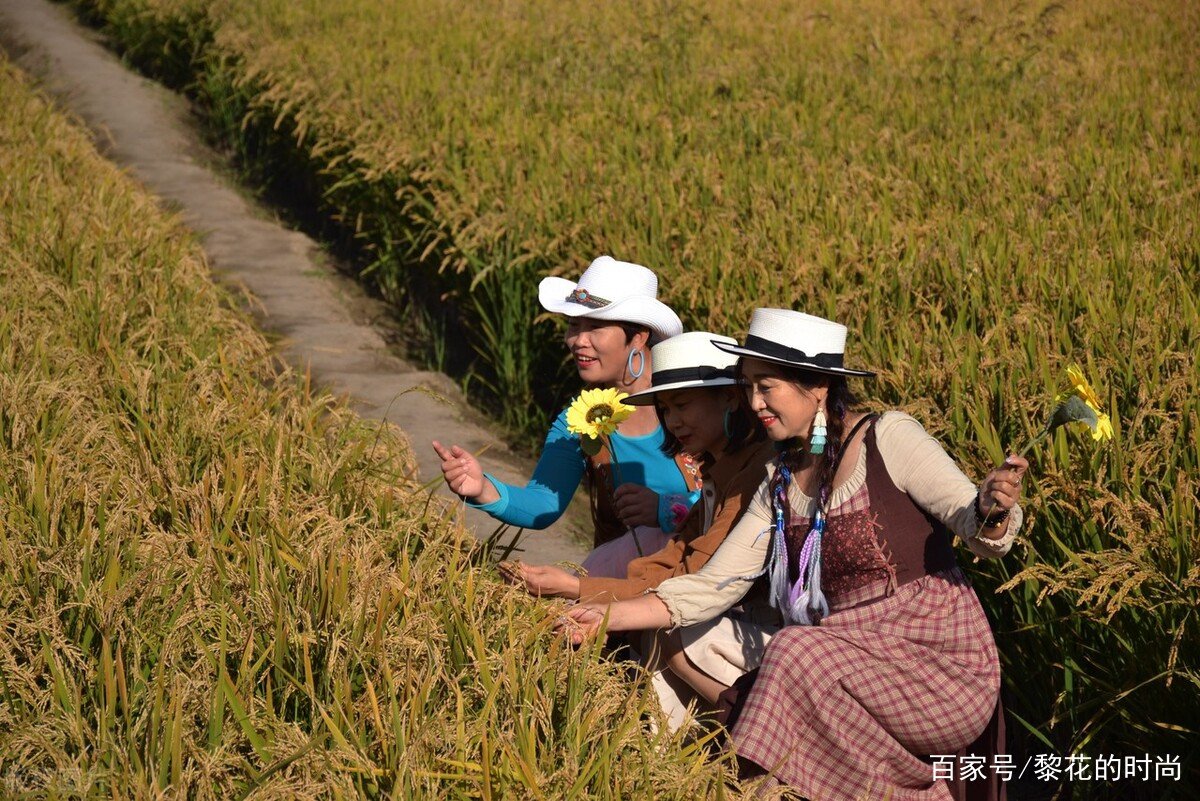 2022耕地保护要求，八不准、六严禁、五不得分别指什么？