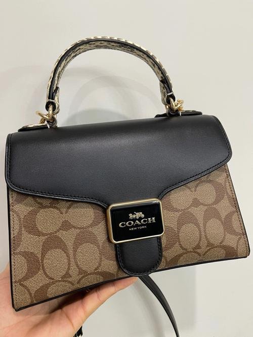 一匹马拖着一辆车是个什么牌子的包