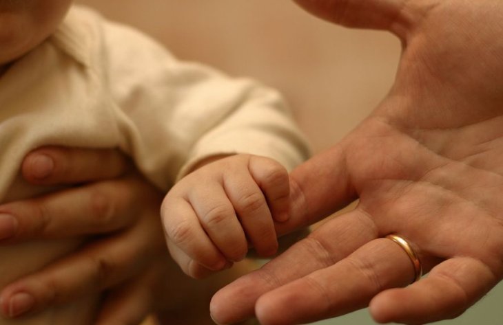 养儿方知父母恩下一句是什么？