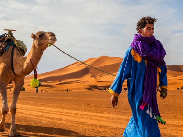骆驼客2之箭在弦结局什么意思