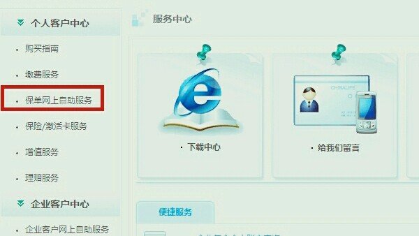 查中国人寿保险保单查询系统