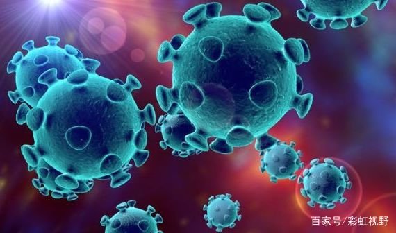 为什么中国的新冠肺炎病毒都是在菜市场发现的呢？