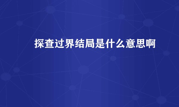 囧探查过界结局是什么意思啊