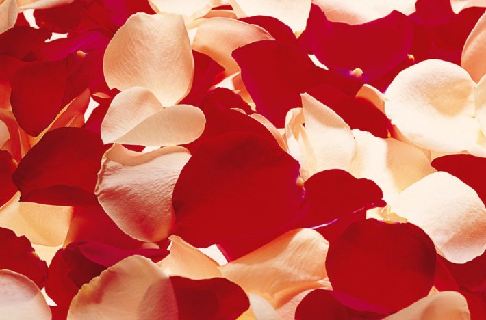 凋谢的玫瑰花的花瓣还有哪些用途啊？还能用来做些什么