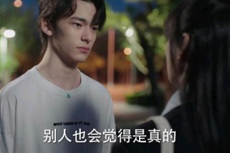 我在他乡挺好的一共有多少集？