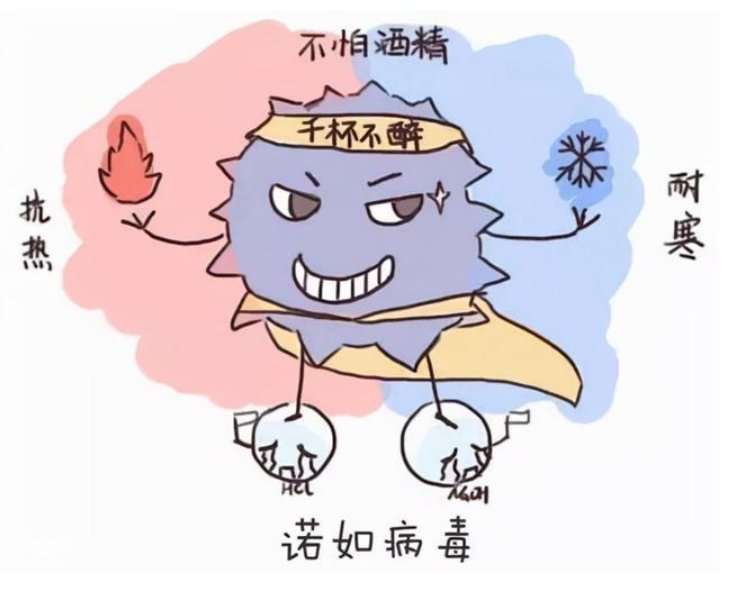 中国农业大学部分学生、职工感染诺如病毒，治愈后会不会有留下后遗症？