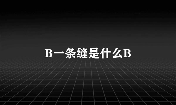 B一条缝是什么B