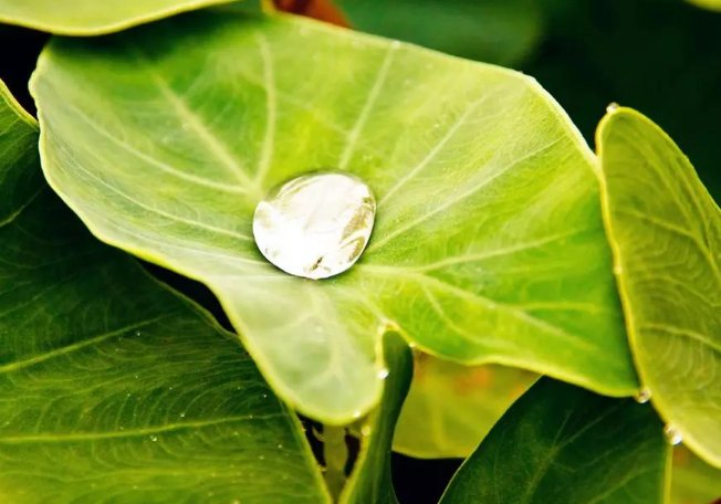 猜一猜:古代的消暑饮品