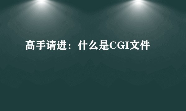 高手请进：什么是CGI文件