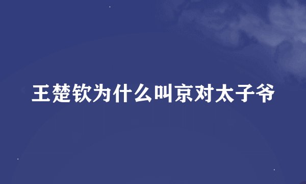 王楚钦为什么叫京对太子爷