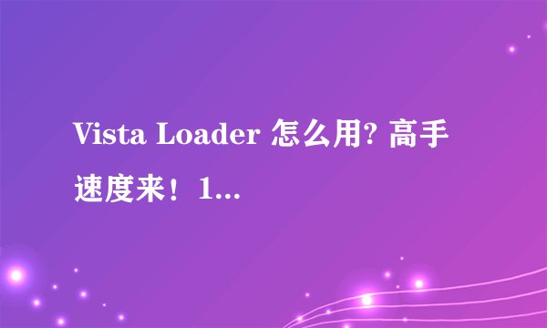 Vista Loader 怎么用? 高手速度来！100分加分！