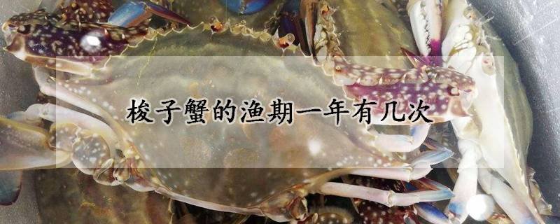 梭子蟹的渔期一年有几次