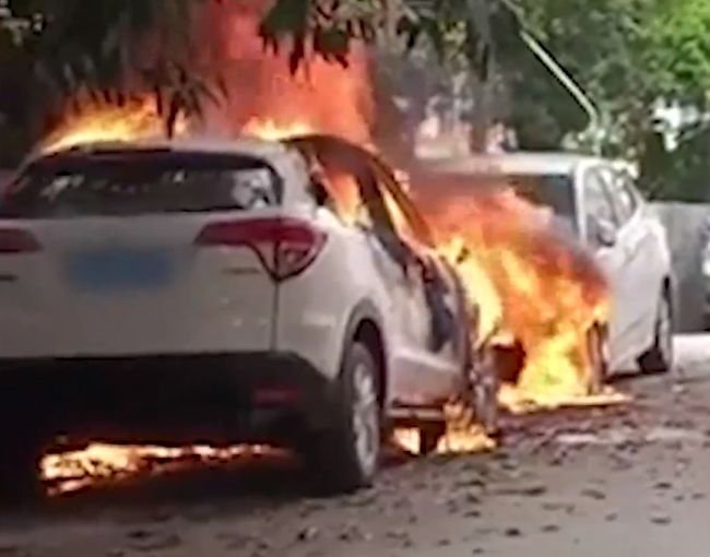 警方通报东莞一男子放火烧车全文曝光，事件的始末有何细节？