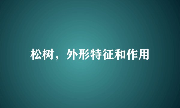 松树，外形特征和作用
