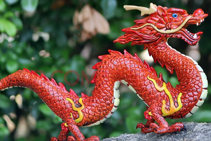 春回大地绿树绿的生肖