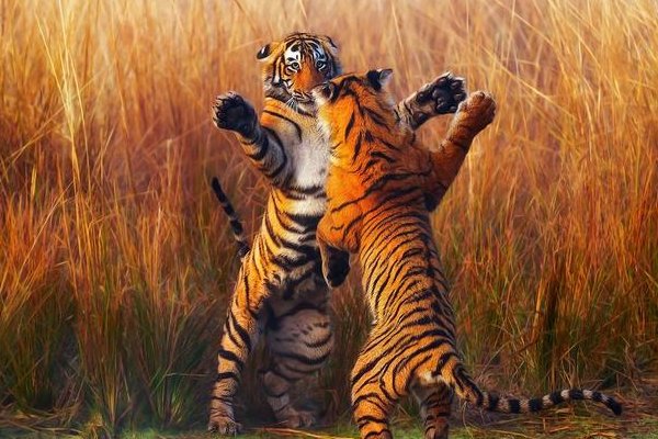 两雄相争的意思是什么