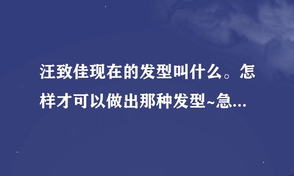 汪致佳现在的发型叫什么。怎样才可以做出那种发型~急~~~~~~~~~~~~~~·