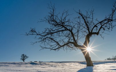 (没有了.......也就没有)怎么造句