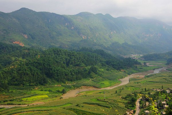 广西一名女孩上山采药失踪3天后获救，她是如何获救的？