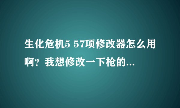生化危机5 57项修改器怎么用啊？我想修改一下枪的载弹量和火力，以及物品的数量。