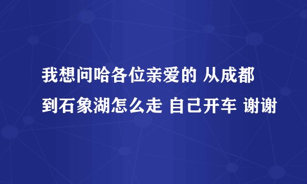 我想问哈各位亲爱的 从成都到石象湖怎么走 自己开车 谢谢