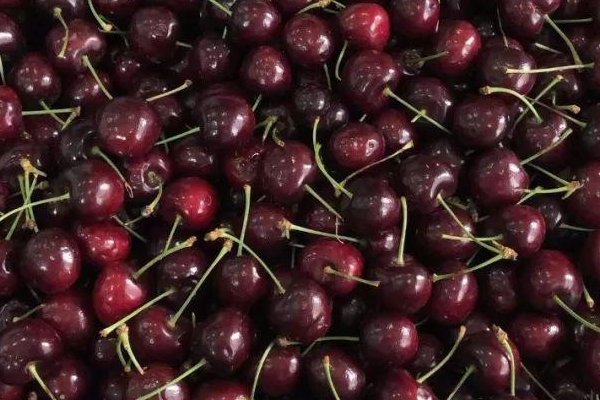 车厘子是进口的还是国产的？