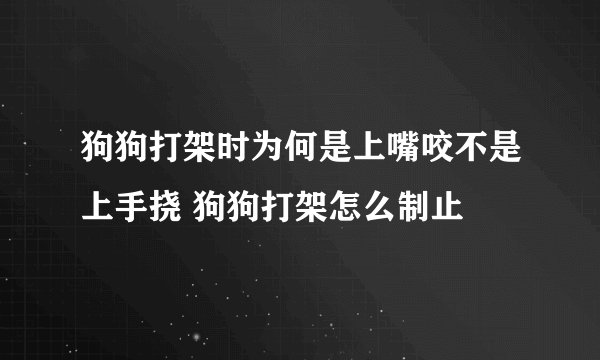 狗狗打架时为何是上嘴咬不是上手挠 狗狗打架怎么制止
