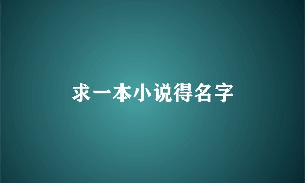求一本小说得名字