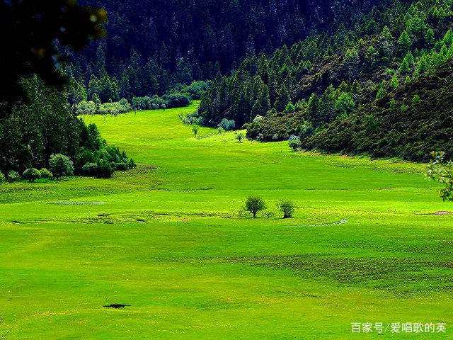 请问电视剧《司藤》里，达那是在哪里？