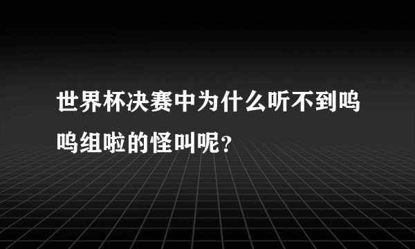 世界杯决赛中为什么听不到呜呜组啦的怪叫呢？
