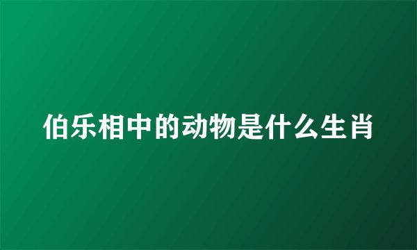 伯乐相中的动物是什么生肖