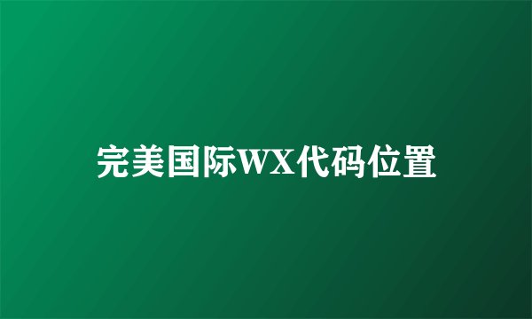 完美国际WX代码位置