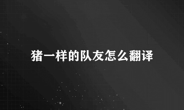 猪一样的队友怎么翻译