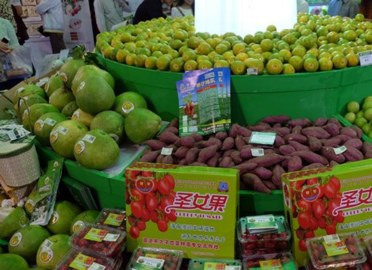 国家扶持的农业项目有哪些？