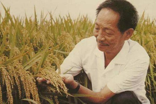 称为杂交水稻之父的袁隆平，他在国际上的名声和地位如何？