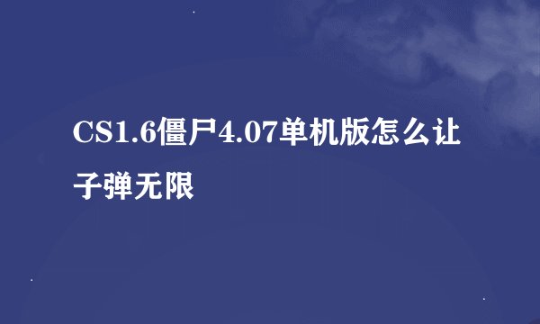 CS1.6僵尸4.07单机版怎么让子弹无限