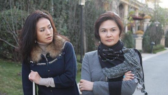 金融危机之迷情姐妹的剧情简介