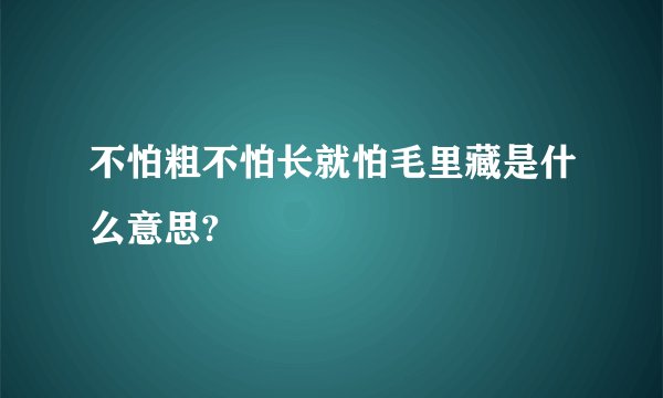 不怕粗不怕长就怕毛里藏是什么意思?