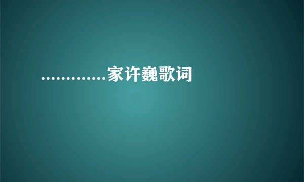 .............家许巍歌词