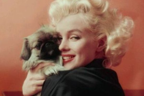 双子座名人有哪些？