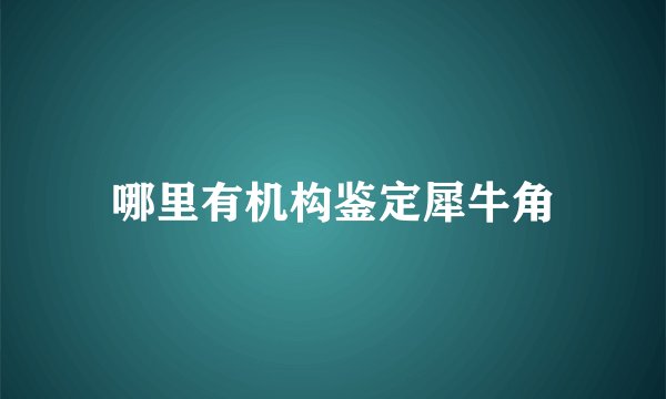 哪里有机构鉴定犀牛角