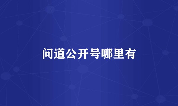 问道公开号哪里有